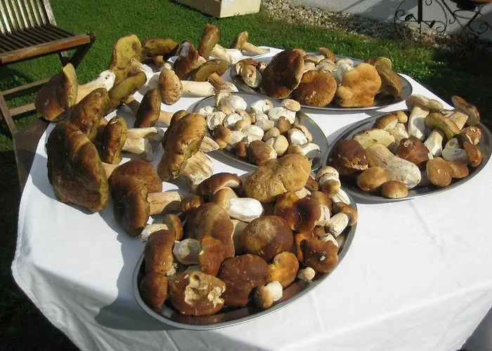 Vilaboa Летний дом